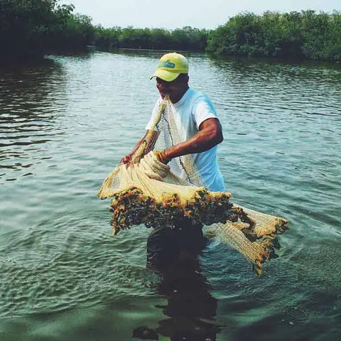 Mangrove Fishing Tour In La Boquilla - Juan Ballena | Travel Experiences in Cartagena