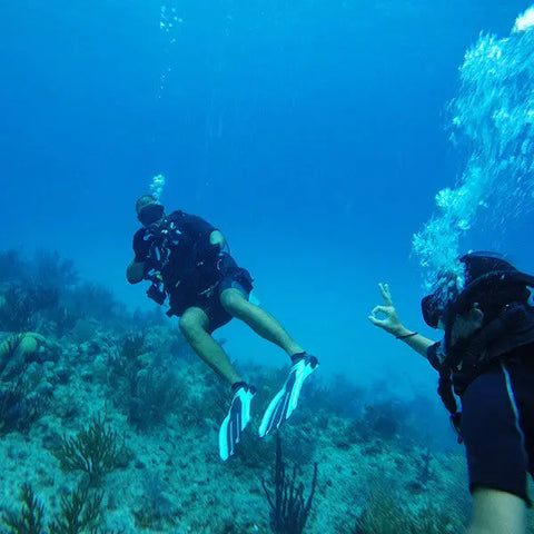 Scuba Diving in San Andres - Juan Ballena | Travel Experiences in Cartagena