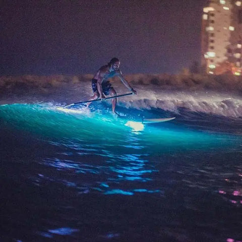 Stand-up Paddle Boarding sunset Glow Tour - Juan Ballena | Travel Experiences in Cartagena