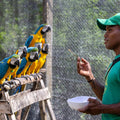 Macaws Wildlife Sanctuary Tour from Cartagena – Nature, Wildlife & Adventure
