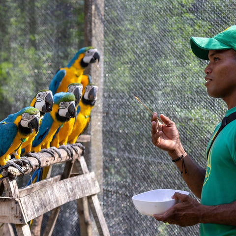Macaws Wildlife Sanctuary Tour from Cartagena – Nature, Wildlife & Adventure