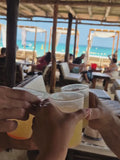Discover Baru: National Aviary + Exclusive Access to Mambo Beach