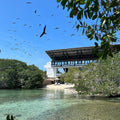 top-3-rosario-islands-hopping-tour