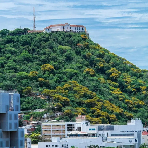 Cartagena City Tour - Juan Ballena | Travel Experiences in Cartagena