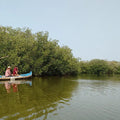 Canoe journey through the mangroves during the La Boquilla fishing tour