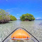 Mangrove Glass-Bottom Kayak and Snorkel - Juan Ballena | Travel Experiences in Cartagena