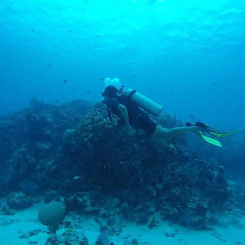 Scuba Diving in San Andres - Juan Ballena | Travel Experiences in Cartagena